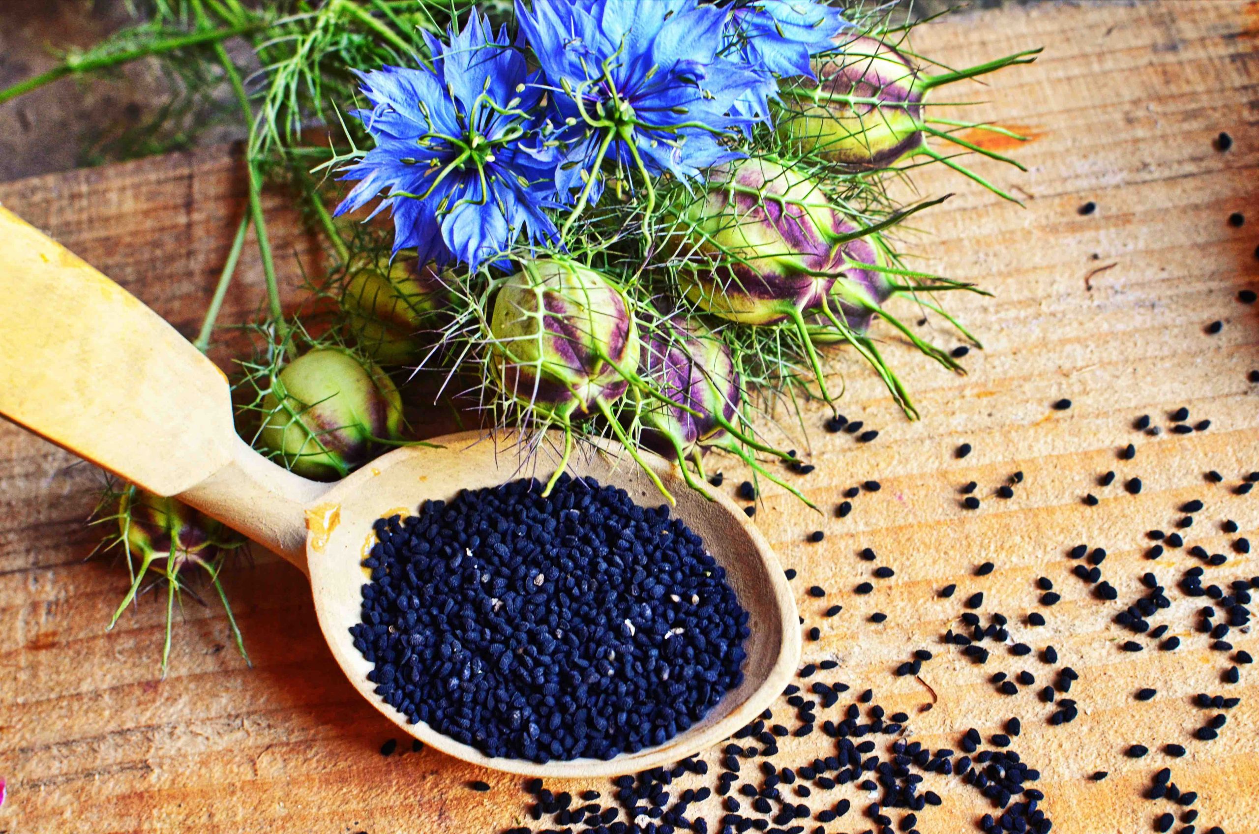 Black Cumin 2